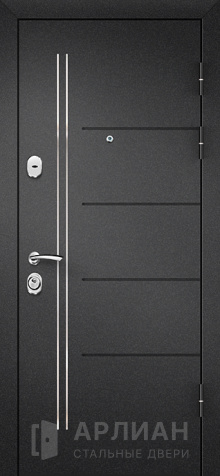 Фото «Железная дверь входная уличная №11»